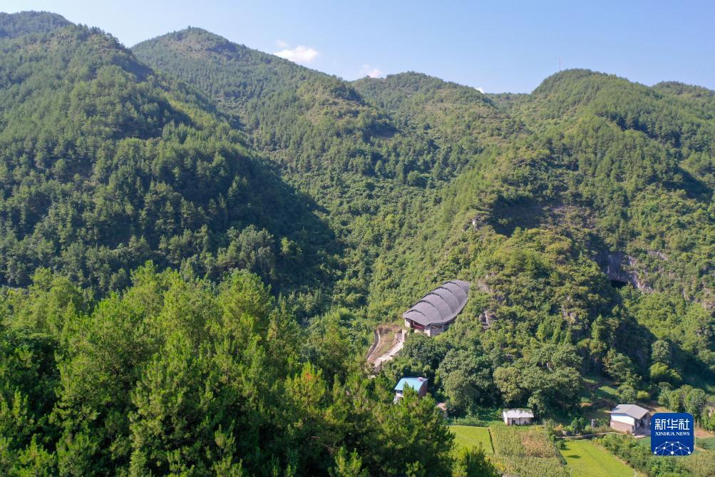庄龙宝 闲龙宝 的规则